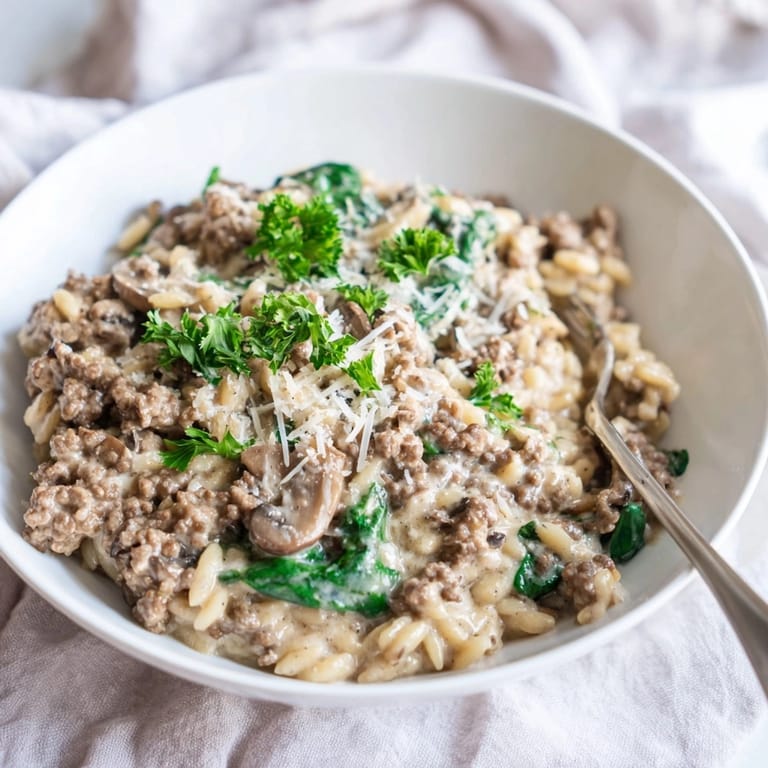 Close-up of Beef Orzo: ground beef and pasta in creamy sauce with herbs and Parmesan.
